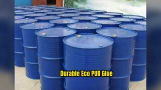 Eco Friendly PUR Glue for Horse Stables & Dog Bones